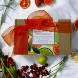 Citrus Fragrances Candle Tin Gift Box