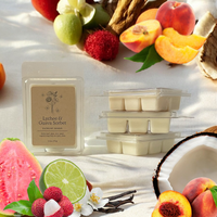 Lychee & Guava Sorbet Wax Melts