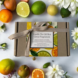 Citrus Fragrances Candle Tin Gift Box